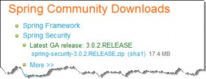 Figura 2 – Download do Spring Security