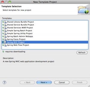 Figura 2 – Opção Spring MVC Project