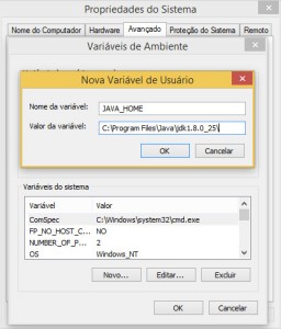 Figura 3 – Criação da variável de ambiente JAVA_HOME